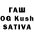 Бошки марихуана OG Kush Gus Niger