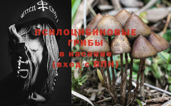 дживик Аркадак