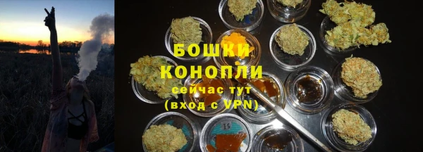 ECSTASY Армянск