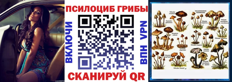 Галлюциногенные грибы прущие грибы  Безенчук 